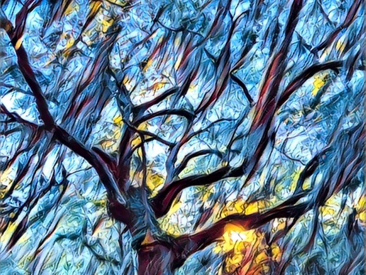 South Mountain Reservation