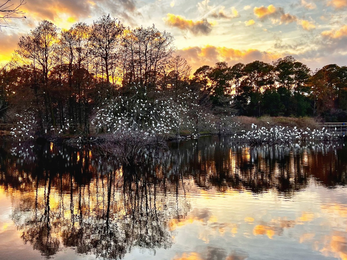 Counterpoint; Life’s Melodic&nbsp;Contour