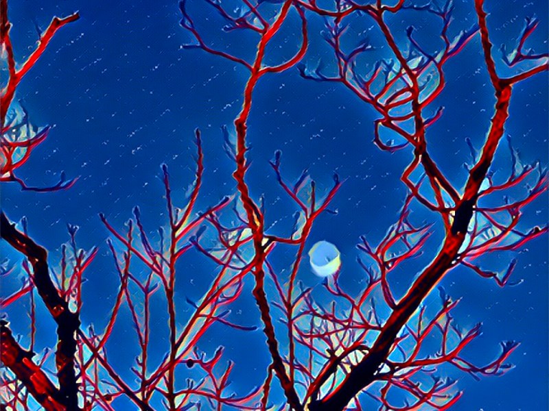 Cellar Stories: Needy