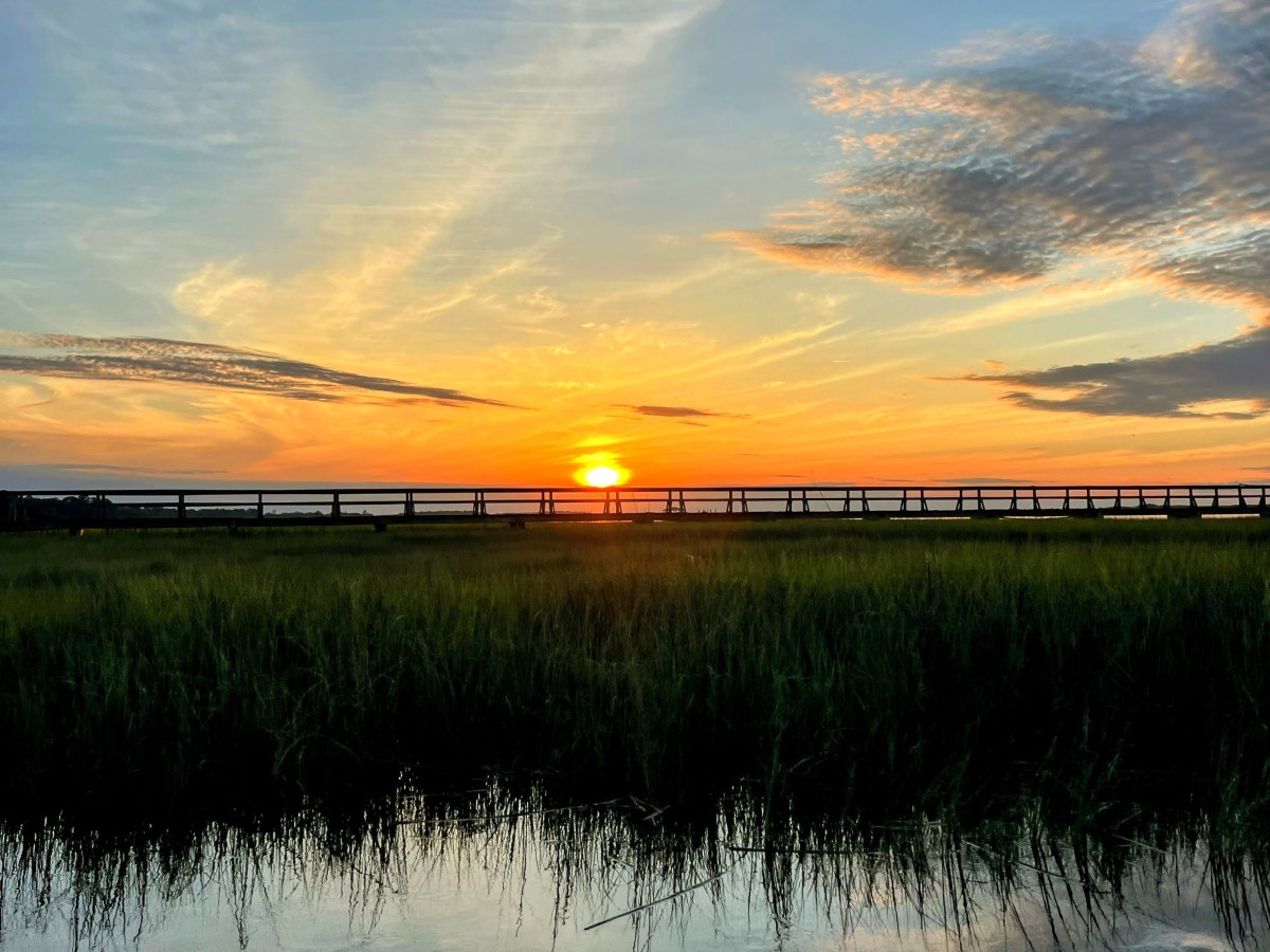 Deni. Who Am&nbsp;I?